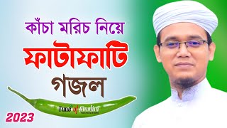 কাঁচা মরিচ নিয়ে ফাটাফাটি গজল Kacha Morich  Kalarab Ghazal  Kolorob Gojol  Ghazal  Islamic Song [upl. by Avraham]