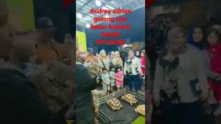 PAMERAN HEWAN SINAR PETSHOP KEDATANGAN Youtuber audrey adrian [upl. by Cathryn]