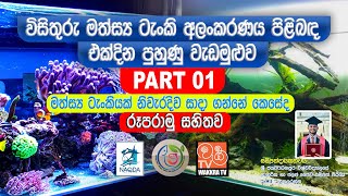 විසිතුරු මත්සය්‍ය ටැංකි අලංකරණය පිළිබඳ එක්දින පුහුණු වැඩමුළුව  Part 01 [upl. by Pepe]