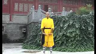 2 少林易筋洗髓功 Shaolin Change Tendon Wash Marrow Kung Fu [upl. by Grory211]