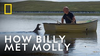 The Otter That Became Part of a Family  Billy amp Molly An Otter Love Story  National Geographic UK [upl. by Elmore]