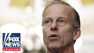 Senate Republicans speak after electing Thune as leader [upl. by Koball]