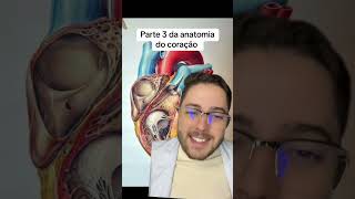 ANATOMIA DAS ESTRUTURAS CARDÍACAS PARTE 3 biologiaetc [upl. by Ydisahc25]