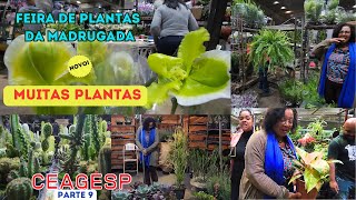 CEAGESP FESTIVAL DE PLANTAS E FLORES Feira da Madrugada  Um passeio de muitas novidades [upl. by Glantz]