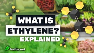 What is Ethylene [upl. by Urbannal]