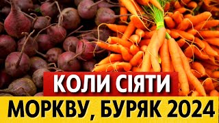 КРАЩІ ДНІ для посіву моркви буряка редиса навесні 2024 за місячним календарем [upl. by Sammie]