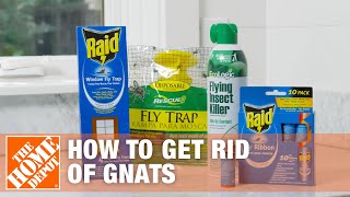 How to Get Rid of Gnats  DIY Pest Control  The Home Depot [upl. by Nirmak]