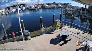 Gasparilla Marina  Live Stream  Englewood  Placida Florida  Gulf Coast  Fuel Dock Cameras [upl. by Dazhehs635]