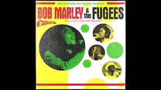 Bob Marley  The Fugees  You Cant Stop the Shining Full Album  David Begun [upl. by Amehr]