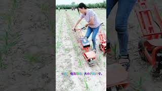 Electric weeder Peanut furrow soil weeding machine New agricultural machinery Treading machine C [upl. by Nodnart]