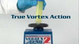 Scientific Industries VortexGenie 2 Variable Speed Vortex Mixer [upl. by Ruff234]