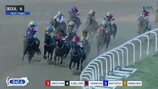 Seoul 20240907 R6 Class Open 1200M Special Weight B  Hong Kong Jockey Club Trophy [upl. by Jotham]