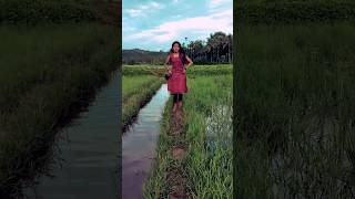 Mundhri Paadam🍇🍇 dance shorts shortsfeed trending viralvideo [upl. by Eustatius]