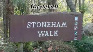 A winter walk through Stoneham Park Kawerau [upl. by Erle]