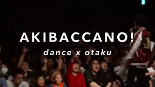 Akibaccano Welcome to the World of Otaku Dance Battles [upl. by Leoline]