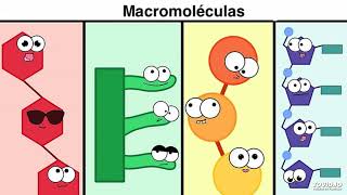 Macromoléculas [upl. by Connie120]