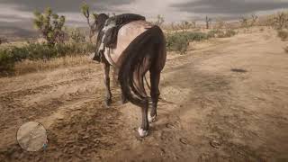 New Moonshiner Rank 20 Horses Rdr2 Online [upl. by Litnahc363]