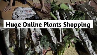 Huge Online Plants ShoppingShopping From Kolkatas Renowned Mukherjee Horticultural Firm [upl. by Asital933]