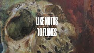 Like Moths To Flames  Gnashing Teeth [upl. by Hadwyn]