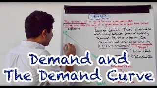 Y1 3 Demand and the Demand Curve [upl. by Ojela]