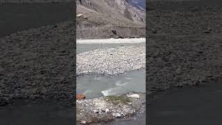 Vastness of Drass Valley nature relaxing roadtrip ladakhtrip mountains travel drassvalley [upl. by Joashus944]