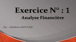 Analyse financière  Exercice N°  1 [upl. by O'Brien]