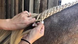 Running French Braid on Horse [upl. by Rhett]