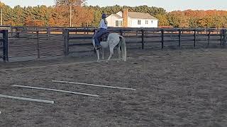 Gianna Tanzi Ranch riding WT [upl. by Barclay552]