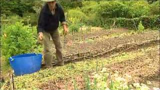 Jardin du MaraisYves Gillen jardinage sans travail du sol Sous titre en Français [upl. by Ranite891]