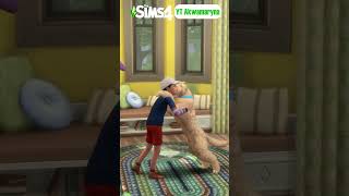 top DODATKI do SIMS 4 ze ZWIERZĘTAMI 🐕 [upl. by Gildus203]