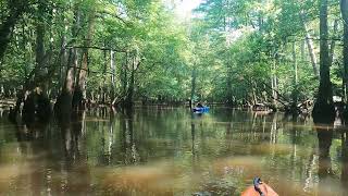 Congaree National Park 7123 [upl. by Fox431]