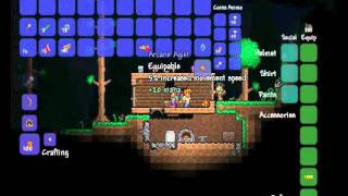 Terraria  11 Item  Arcane Aglet [upl. by Annamarie614]