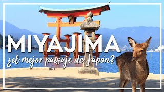 MIYAJIMA JAPON ⛩️ Itsukushima🦌 que ver en Miyajima island Japan  Viajar a Japon [upl. by Warder642]