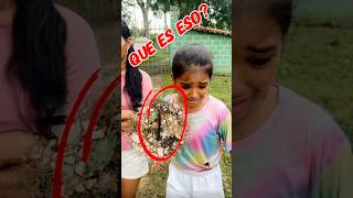 Que animal es ese humor comediavariada comedia cortoschidos comedy [upl. by Annayram]