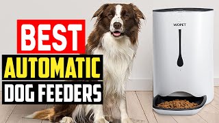 ✅Top 5 Best Automatic Dog Feeders in 2023 [upl. by Yelsna]