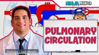 Circulatory System  Pulmonary Circulation [upl. by Nerdna]