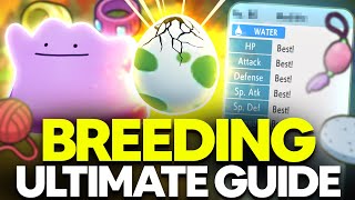 ULTIMATE Breeding Guide Perfect IVs Natures Egg Moves  Pokemon Brilliant Diamond amp Shining Pearl [upl. by Attekal317]