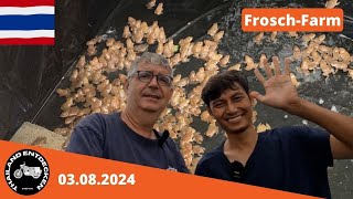 Froschfarm Thailand Kinderheim Frosch helfen [upl. by Nnor]