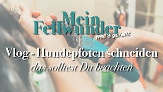 Mein Fellwunder Vlog  Hundepfoten schneiden  das solltest Du beachten [upl. by Rehteh365]