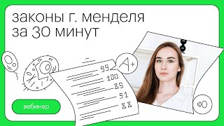 Законы Г Менделя за 30 минут  Биология с Альбиной Амировой [upl. by Anyg]