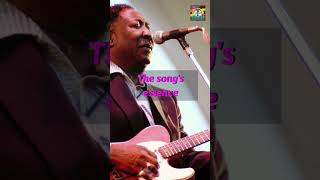 The Rolling Inspiration Muddy Waters and The Rolling Stones shortsyoutube [upl. by Muscolo]