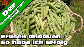 Erbsen erfolgreich anbauen [upl. by Mckenna]