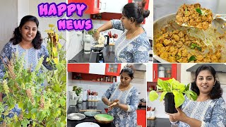 Vlog  Dream Came True  2 Happy News 🤩🤩 Busy Routine Vlog  Karthikha Channel Family Vlog [upl. by Oicnerual]