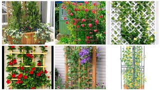 Easy inexpensive trellis ideas  Garden trellis design decorations ideas [upl. by Olivie605]