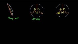 Placentation  Morphology of flowering plants  Biology  Khan Academy [upl. by Ttiwed]