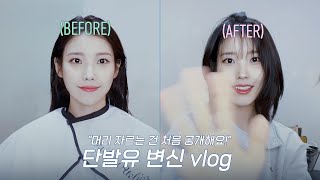 IU TV 머리 자르는 건 처음 공개해요 l 단발유 변신 vlog ✂️ [upl. by Claman]