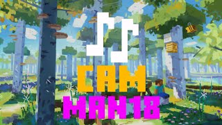 Camman18  Minecraft fanmade ♪ music ♪ [upl. by Garrison492]