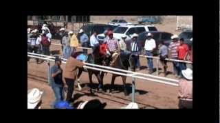 carreras de caballos en carril quotLOS ALTOSquot rio grande zacatecas 2012 [upl. by Levey]