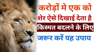 Sapne Mein Sher Dekhne Ka Matlab  सपने में Lion Dekhna In Hindi [upl. by Meyers32]