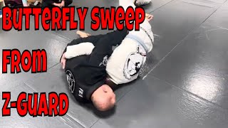 Master The Butterfly Sweep From The Z Guard [upl. by Doley]